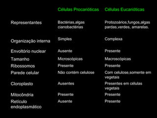 Presente Ausente Retículo endoplasmático Presente Presente Mitocôndria Presentes em células vegetais Ausentes Cloroplasto Com celulose,somente em vegetais Não contém celulose Parede celular Presente Presente Ribossomos Macroscópicas Microscópicas Tamanho Presente Ausente  Envoltório nuclear Complexa Simples Organização interna   Protozoários,fungos,algas pardas,verdes, amarelas. Bactérias,algas cianobactérias Representantes Células Eucarióticas Células Procarióticas 