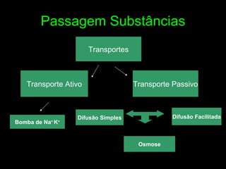 Passagem Substâncias Transporte Ativo Transporte Passivo Transportes Difusão Simples Osmose Difusão Facilitada Bomba de Na +  K + 
