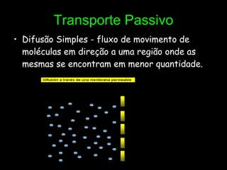 Transporte Passivo Difusão Simples - fluxo de movimento de moléculas em direção a uma região onde as mesmas se encontram em menor quantidade. 