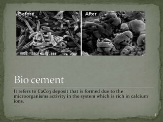 Bio Cement An Eco Friendly Construction Material | PPTX