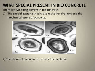 bio cement and concrete.pptx