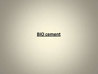 BIO cement
 