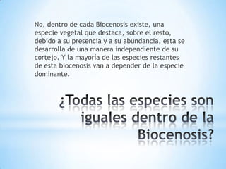 No, dentro de cada Biocenosis existe, una
especie vegetal que destaca, sobre el resto,
debido a su presencia y a su abundancia, esta se
desarrolla de una manera independiente de su
cortejo. Y la mayoría de las especies restantes
de esta biocenosis van a depender de la especie
dominante.
 