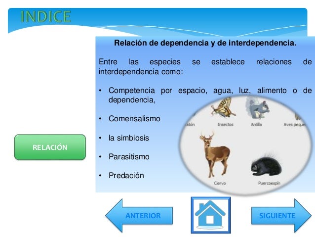 Biocenosis