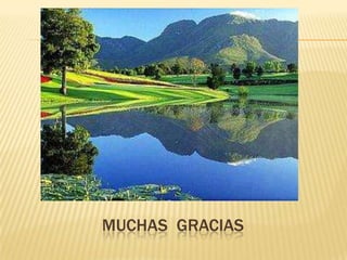 MUCHAS GRACIAS
 