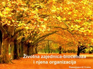 Životna zajednica-biocenoza
i njena organizacija
Damnjanović Ivana
 