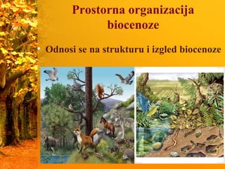 Prostorna organizacija
biocenoze
• Odnosi se na strukturu i izgled biocenoze
 