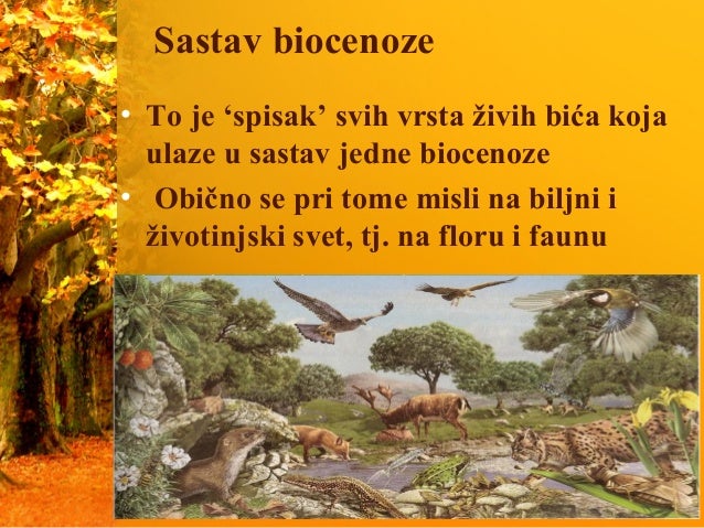 Biocenoza