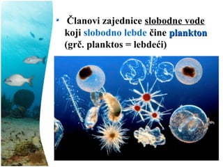 Članovi zajednice slobodne vode
koji slobodno lebde čine planktonplankton
(grč. planktos = lebdeći)
 