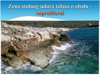 Zona stalnog udara talasa o obalu -Zona stalnog udara talasa o obalu -
supralitoralsupralitoral
 