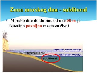 Zona morskog dna - sublitoralZona morskog dna - sublitoral
Morsko dno do dubine od oko 50 m je
izuzetno povoljno mesto za život
 