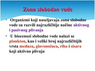 Zona slobodne vodeZona slobodne vode
Organizmi koji naseljavaju zonu slobodne
vode su razvili najrazličitije načine aktivnog
i pasivnog plivanja
U biocenozi slobodne vode nalazi se
plankton, kao i veliki broj najrazličitijih
vrsta meduza, glavonožaca, riba i sisara
koji aktivno plivaju
 