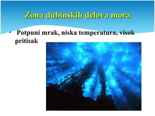 Zona dubinskih delova moraZona dubinskih delova mora
Potpuni mrak, niska temperatura, visok
pritisak
 
