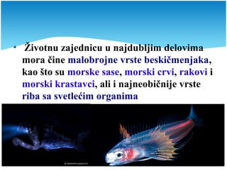 Životnu zajednicu u najdubljim delovima
mora čine malobrojne vrste beskičmenjaka,
kao što su morske sase, morski crvi, rakovi i
morski krastavci, ali i najneobičnije vrste
riba sa svetlećim organima
 