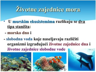 Životne zajednice moraŽivotne zajednice mora
U morskim ekosistemimamorskim ekosistemima razlikuju se dva
tipa staništa:
- morsko dno i
- slobodna voda koje naseljavaju različiti
organizmi izgrađujući životne zajednice dna i
životne zajednice slobodne vode
 