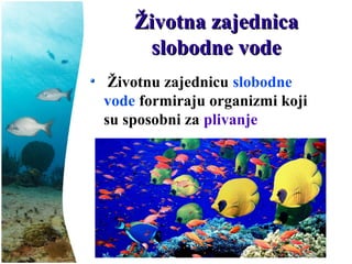 Životna zajednicaŽivotna zajednica
slobodne vodeslobodne vode
Životnu zajednicu slobodne
vode formiraju organizmi koji
su sposobni za plivanje
 