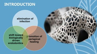Comprehensive Overview of Bioceramics in Endodontics: History ...