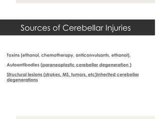 Sources of Cerebellar Injuries Toxins (ethanol, chemotherapy, anticonvulsants, ethanol). Autoantibodies ( paraneoplastic cerebellar degeneration ) Structural lesions (strokes, MS, tumors, etc)Inherited cerebellar degenerations 