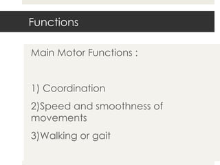 Functions Main Motor Functions : 1) Coordination 2)Speed and smoothness of  movements 3)Walking or gait 