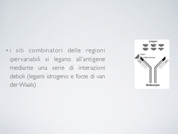 Importanza Biologica Delle Interazioni Deboli