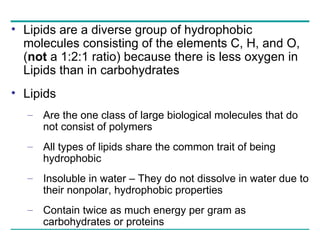 Lipids are a diverse group of hydrophobic molecules consisting of the elements C, H, and O, ( not  a 1:2:1 ratio) because there is less oxygen in Lipids than in carbohydrates Lipids Are the one class of large biological molecules that do not consist of polymers All types of lipids share the common trait of being hydrophobic Insoluble in water – They do not dissolve in water due to their nonpolar, hydrophobic properties Contain twice as much energy per gram as carbohydrates or proteins 