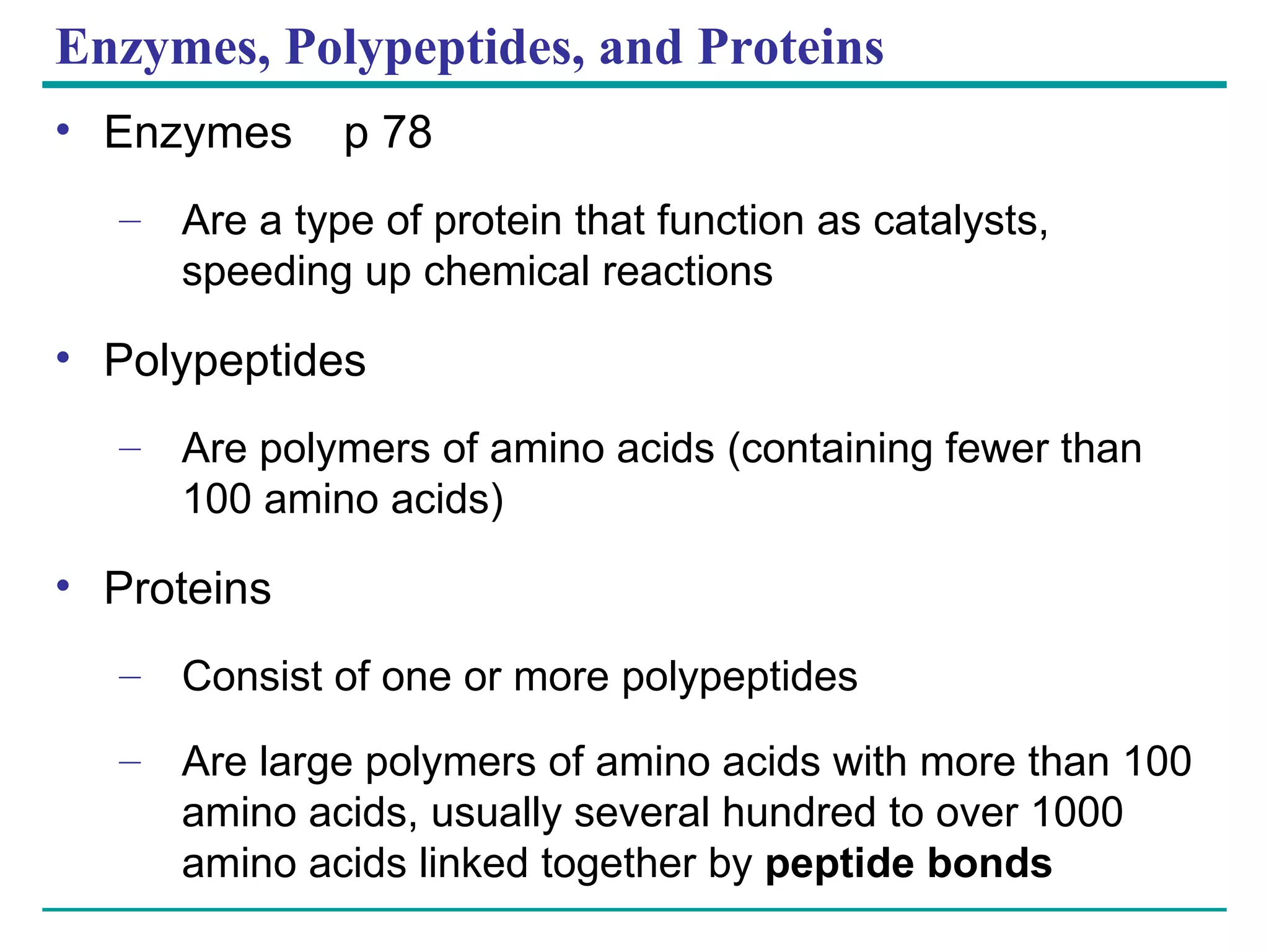 Enzymes, Polypeptides, and Proteins Enzymes  p 78 Are a type of protein that function as catalysts, speeding up chemical reactions Polypeptides Are polymers of amino acids (containing fewer than 100 amino acids) Proteins Consist of one or more polypeptides Are large polymers of amino acids with more than 100 amino acids, usually several hundred to over 1000 amino acids linked together by  peptide bonds 