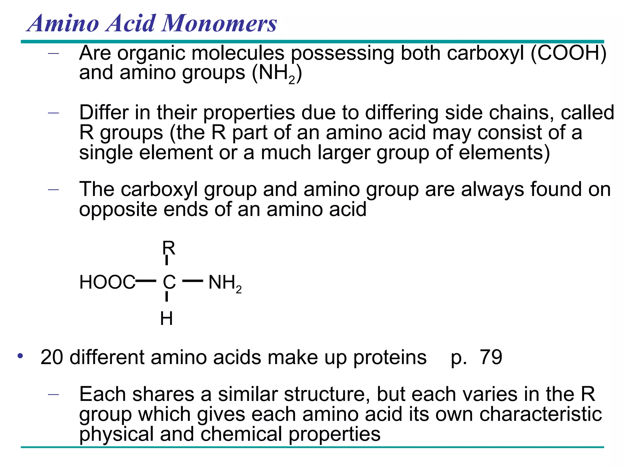 Amino Acid Monomers Are organic molecules possessing both carboxyl (COOH) and amino groups (NH 2 ) Differ in their properties due to differing side chains, called R groups (the R part of an amino acid may consist of a single element or a much larger group of elements) The carboxyl group and amino group are always found on opposite ends of an amino acid   R HOOC  C  NH 2   H 20 different amino acids make up proteins  p.  79 Each shares a similar structure, but each varies in the R group which gives each amino acid its own characteristic physical and chemical properties 
