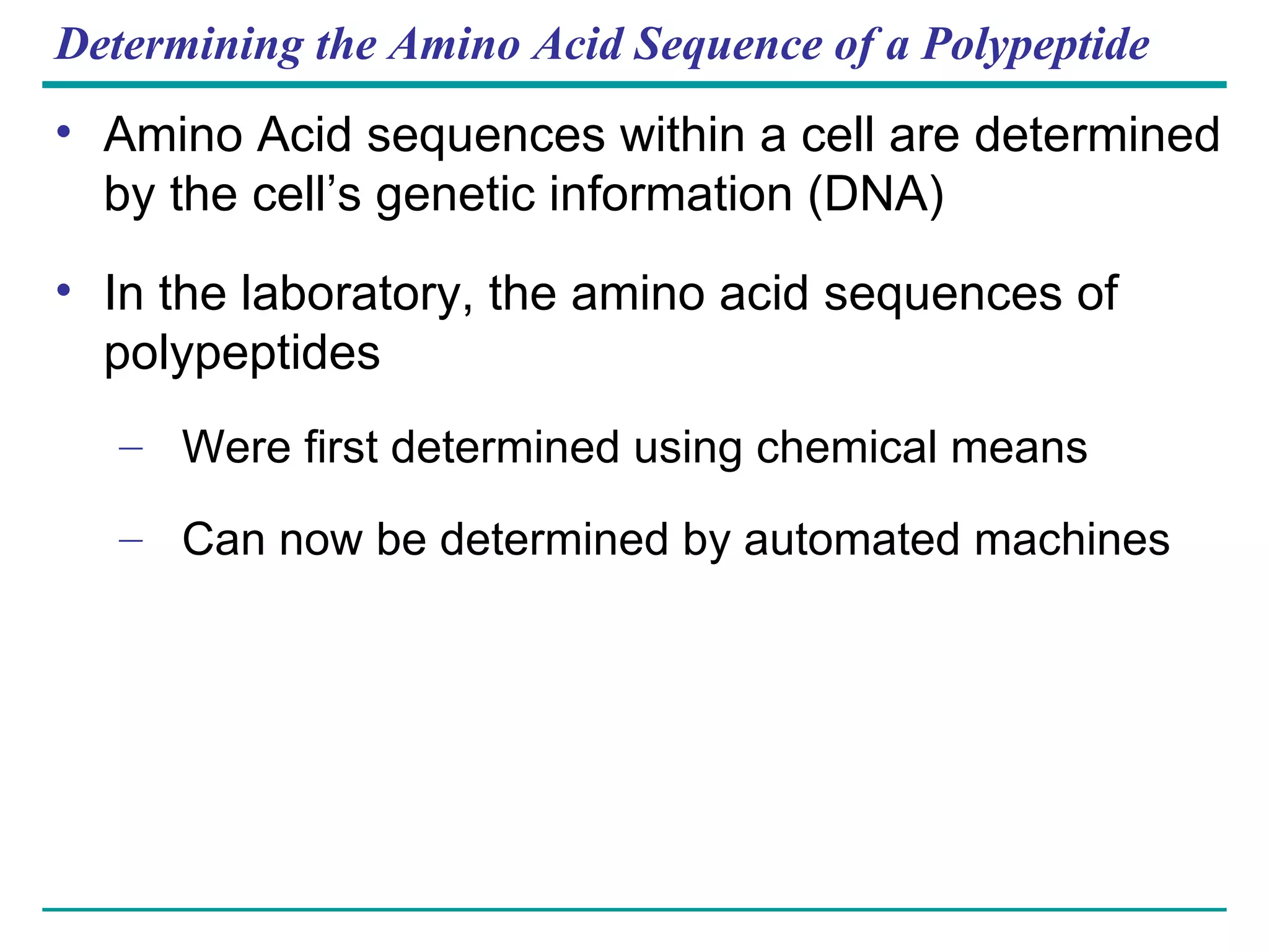 Determining the Amino Acid Sequence of a Polypeptide Amino Acid sequences within a cell are determined by the cell’s genetic information (DNA) In the laboratory, the amino acid sequences of polypeptides Were first determined using chemical means Can now be determined by automated machines 