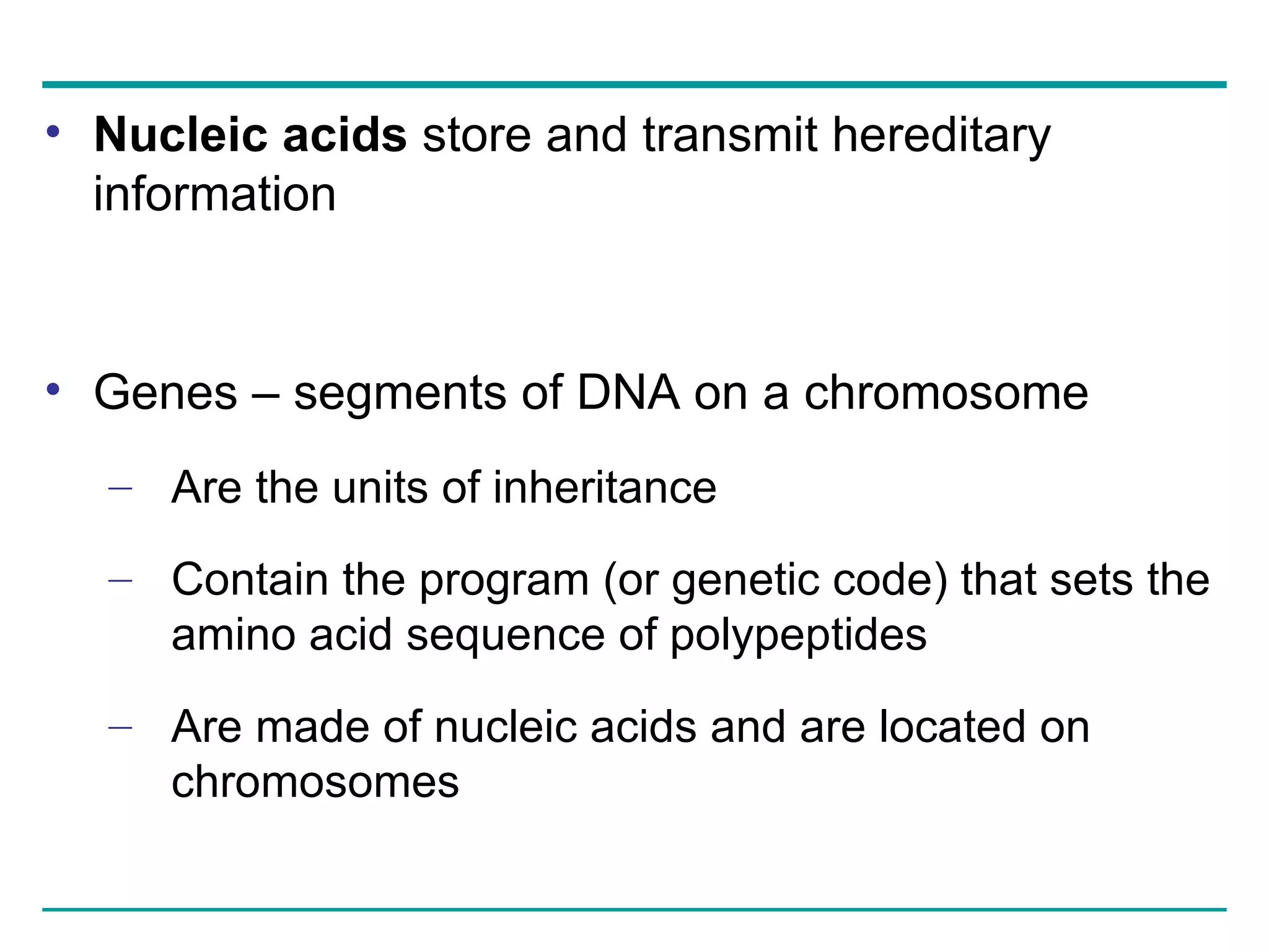 Nucleic acids  store and transmit hereditary information Genes – segments of DNA on a chromosome Are the units of inheritance Contain the program (or genetic code) that sets the amino acid sequence of polypeptides Are made of nucleic acids and are located on chromosomes 