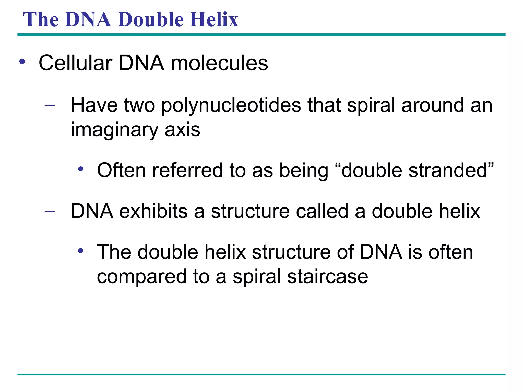 The DNA Double Helix Cellular DNA molecules Have two polynucleotides that spiral around an imaginary axis Often referred to as being “double stranded” DNA exhibits a structure called a double helix The double helix structure of DNA is often compared to a spiral staircase 