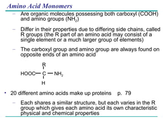 Bio Ch05 For Idol | PPT