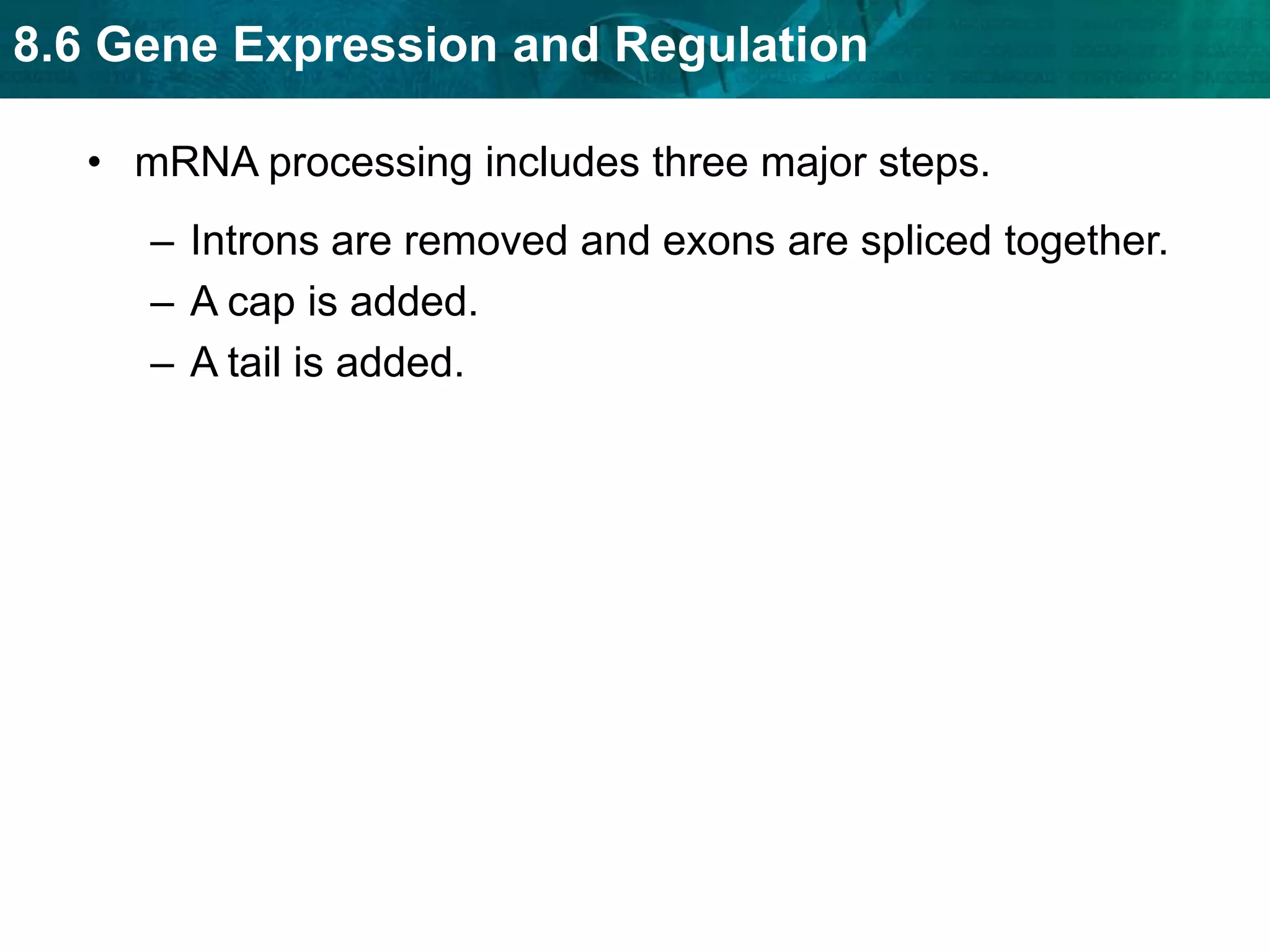 8.6 Gene Expression and Regulation
• mRNA processing includes three major steps.
– Introns are removed and exons are spliced together.
– A cap is added.
– A tail is added.