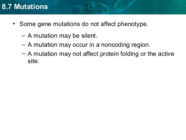 How Do Mutations Affect Natural Selection How Do Mutations Affect Natural Selection