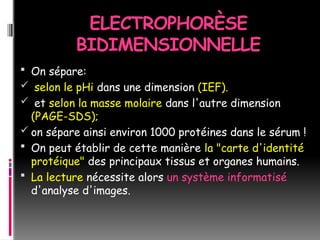 ELECTROPHORÈSE
BIDIMENSIONNELLE
 On sépare:
 selon le pHi dans une dimension (IEF).
 et selon la masse molaire dans l'autre dimension
(PAGE-SDS);
 on sépare ainsi environ 1000 protéines dans le sérum !
 On peut établir de cette manière la "carte d'identité
protéique" des principaux tissus et organes humains.
 La lecture nécessite alors un système informatisé
d'analyse d'images.
 