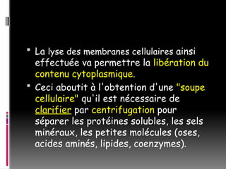  La lyse des membranes cellulaires ainsi
effectuée va permettre la libération du
contenu cytoplasmique.
 Ceci aboutit à l'obtention d'une "soupe
cellulaire" qu'il est nécessaire de
clarifier par centrifugation pour
séparer les protéines solubles, les sels
minéraux, les petites molécules (oses,
acides aminés, lipides, coenzymes).
 