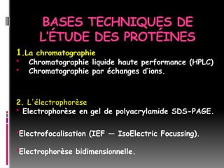 BASES TECHNIQUES DE
L’ÉTUDE DES PROTÉINES
1.La chromatographie
 Chromatographie liquide haute performance (HPLC)
 Chromatographie par échanges d’ions.
2. L'électrophorèse
 Electrophorèse en gel de polyacrylamide SDS-PAGE.
Electrofocalisation (IEF — IsoElectric Focussing).
Electrophorèse bidimensionnelle.
 