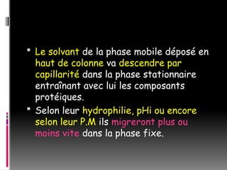  Le solvant de la phase mobile déposé en
haut de colonne va descendre par
capillarité dans la phase stationnaire
entraînant avec lui les composants
protéiques.
 Selon leur hydrophilie, pHi ou encore
selon leur P.M ils migreront plus ou
moins vite dans la phase fixe.
 