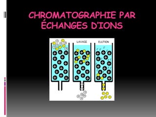 CHROMATOGRAPHIE PAR
ÉCHANGES D’IONS
 