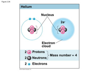 Figure 2.3A
Helium
Nucleus
Electron
cloud
2
2
2
Protons
Neutrons
Electrons
Mass number = 4
2e−
 