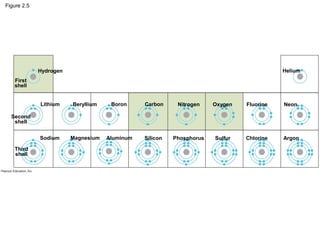 Figure 2.5
Hydrogen
First
shell
Second
shell
Third
shell
Lithium
Sodium
Beryllium
Magnesium
Boron
Aluminum
Carbon
Silicon
Nitrogen
Phosphorus
Oxygen
Sulfur
Fluorine
Chlorine
Helium
Neon
Argon
 