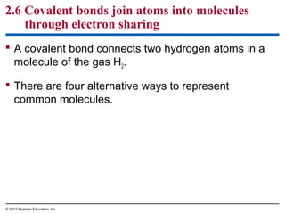 2.6 Covalent bonds join atoms into molecules
through electron sharing
 A covalent bond connects two hydrogen atoms in a
molecule of the gas H2.
 There are four alternative ways to represent
common molecules.
© 2012 Pearson Education, Inc.
 