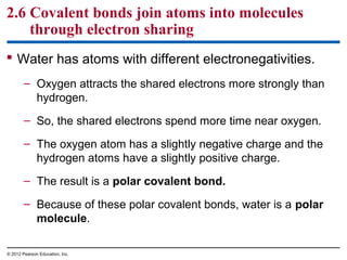 2.6 Covalent bonds join atoms into molecules
through electron sharing
 Water has atoms with different electronegativities.
– Oxygen attracts the shared electrons more strongly than
hydrogen.
– So, the shared electrons spend more time near oxygen.
– The oxygen atom has a slightly negative charge and the
hydrogen atoms have a slightly positive charge.
– The result is a polar covalent bond.
– Because of these polar covalent bonds, water is a polar
molecule.
© 2012 Pearson Education, Inc.
 