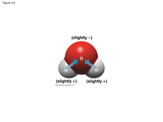 Figure 2.6
(slightly +)
(slightly −)
(slightly +)
 