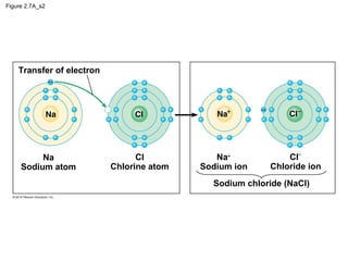 Figure 2.7A_s2
Transfer of electron
Na
Sodium atom
Cl
Chlorine atom
Na+
Sodium ion
Cl−
Chloride ion
Sodium chloride (NaCl)
 
