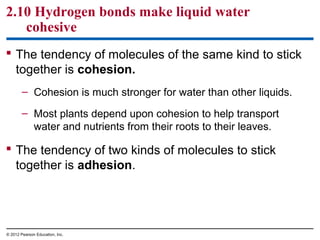 2.10 Hydrogen bonds make liquid water
cohesive
 The tendency of molecules of the same kind to stick
together is cohesion.
– Cohesion is much stronger for water than other liquids.
– Most plants depend upon cohesion to help transport
water and nutrients from their roots to their leaves.
 The tendency of two kinds of molecules to stick
together is adhesion.
© 2012 Pearson Education, Inc.
 