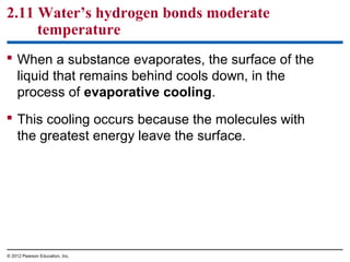 2.11 Water’s hydrogen bonds moderate
temperature
 When a substance evaporates, the surface of the
liquid that remains behind cools down, in the
process of evaporative cooling.
 This cooling occurs because the molecules with
the greatest energy leave the surface.
© 2012 Pearson Education, Inc.
 