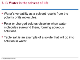2.13 Water is the solvent of life
 Water’s versatility as a solvent results from the
polarity of its molecules.
 Polar or charged solutes dissolve when water
molecules surround them, forming aqueous
solutions.
 Table salt is an example of a solute that will go into
solution in water.
© 2012 Pearson Education, Inc.
 
