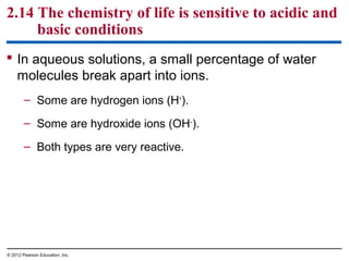 2.14 The chemistry of life is sensitive to acidic and
basic conditions
 In aqueous solutions, a small percentage of water
molecules break apart into ions.
– Some are hydrogen ions (H+
).
– Some are hydroxide ions (OH–
).
– Both types are very reactive.
© 2012 Pearson Education, Inc.
 