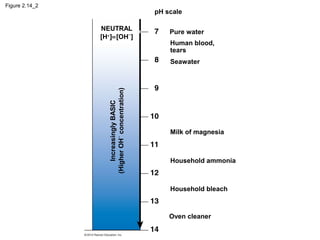 Figure 2.14_2
Oven cleaner
IncreasinglyBASIC
(HigherOH−
concentration)
NEUTRAL
[H+
]=[OH−
]
Household bleach
Household ammonia
Milk of magnesia
Pure water
Human blood,
tears
Seawater
pH scale
 