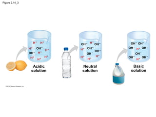 Figure 2.14_3
Acidic
solution
Neutral
solution
Basic
solution
 